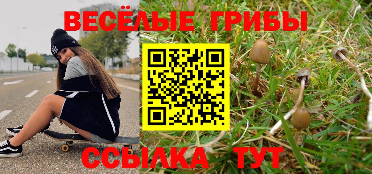 продажа наркотиков  Псилоцибиновые грибы мицелий  Вход с VPN  Касимов 